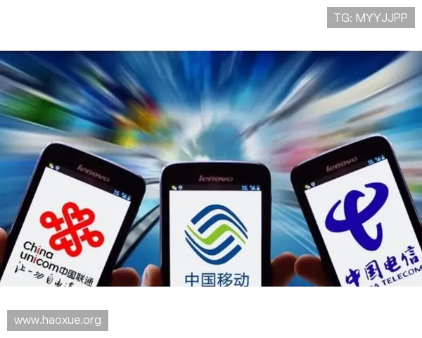 壹号娱乐网页登录入口手机版支持多种设备随时随地畅享精彩娱乐内容