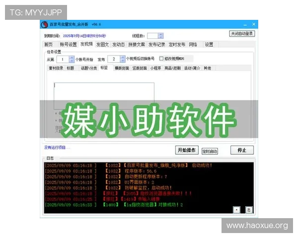 壹号网站怎么玩详细攻略，带你轻松掌握操作技巧和玩法流程